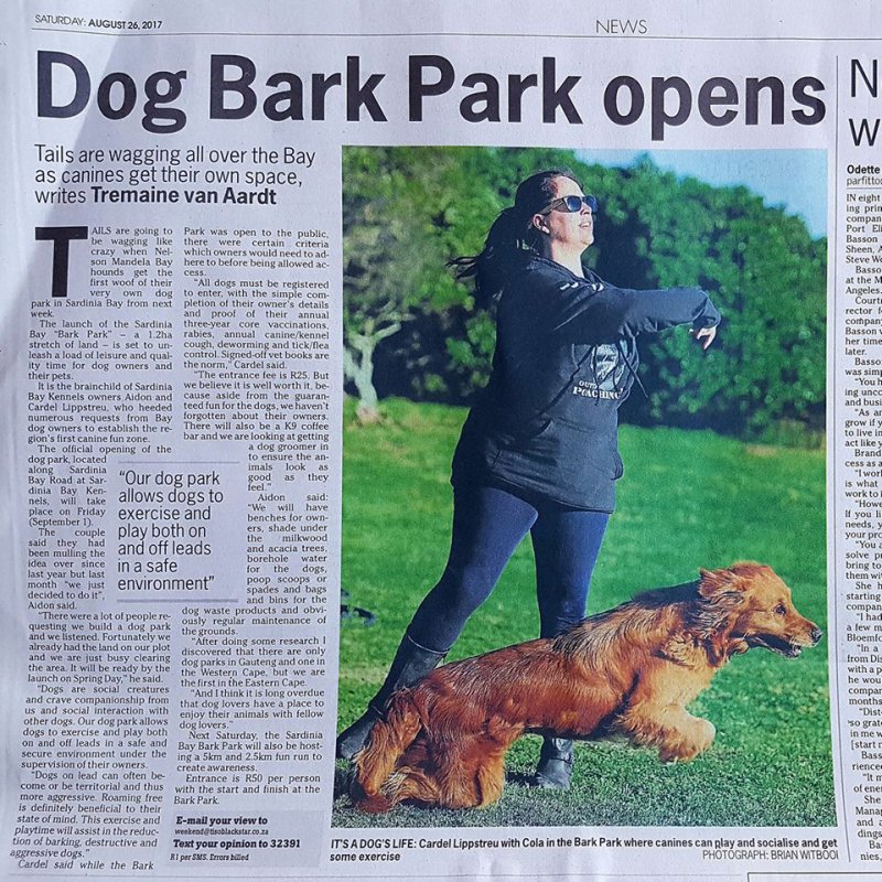 Sards Bark Park Dog Cake Eating Contest