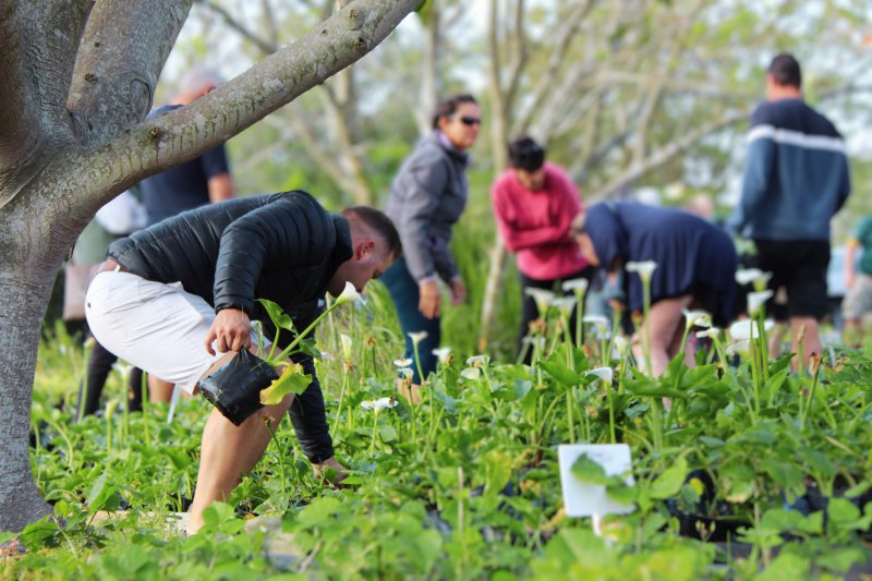 Something Beautiful is Blooming: Van Stadens Flower Festival Returns 27 September 2025