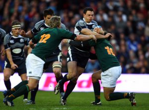 South Africa vs Scotland Rugby Test