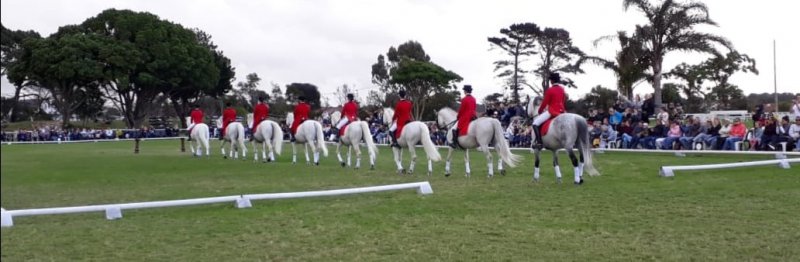 South African Lipizzaners Port Elizabeth Tour 2022