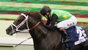 SOUTH AFRICAN RACEHORSE CLEANED UP IN HONG KONG