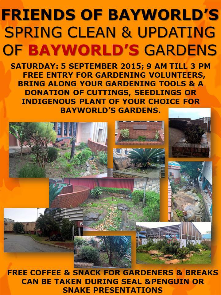 SPRING CLEAN & UPDATE OF BAYWORLD'S GARDEN
