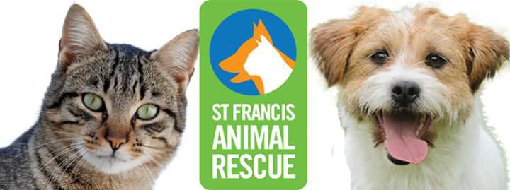 St Francins Animal Rescue Charity Walk