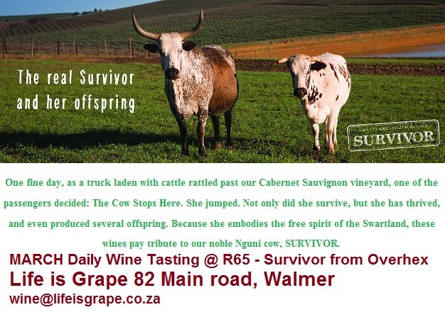 Survivor Wine Tasting