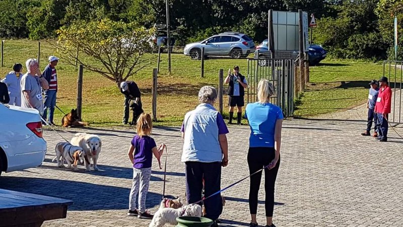 The Bark Park's 3rd Annual K9 FUN RUN