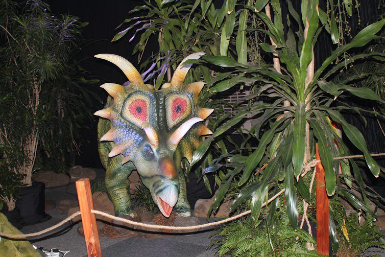 The Dino Expo
