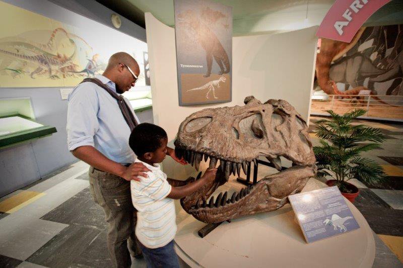 THE NELSON MANDELA BAY MUNICIPALITY AND THE EC DEPARTMENT OF SPORT, RECREATION, ARTS AND CULTURE TOOK THE FIRST STEP TO REVITALIZE BAYWORLD.