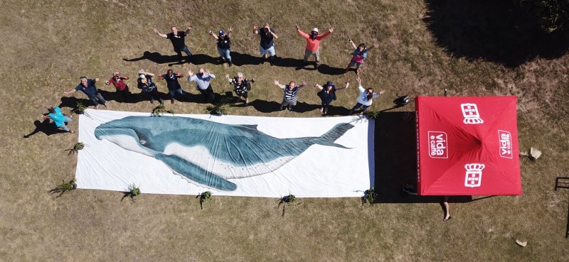 THE PLANTING OF A SPEKBOOM WHALE ON MARINE DRIVE IN FRONT OF CITY LODGE
