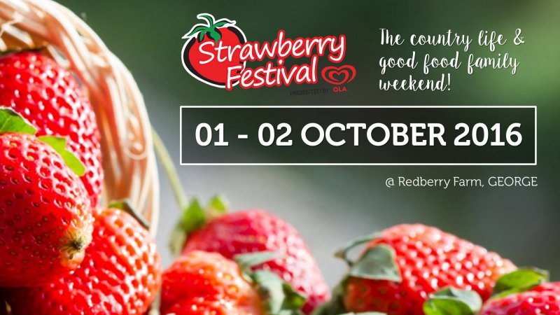 The Strawberry Festival