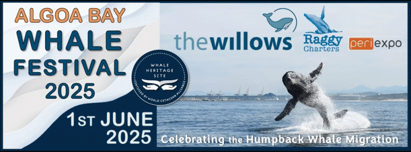 The Whale Trail
