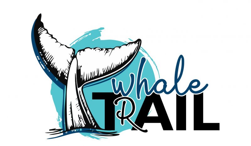 The Whale Trail