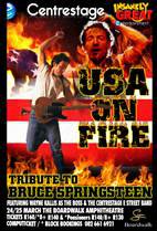 Tribute to Bruce Springsteen
