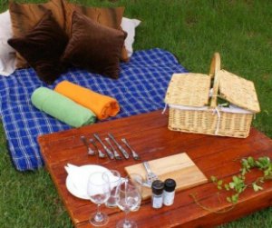 Valentine's Day Picnic at Thunzi Lodge