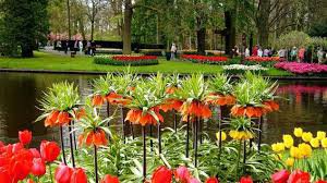 Walmer Garden tour