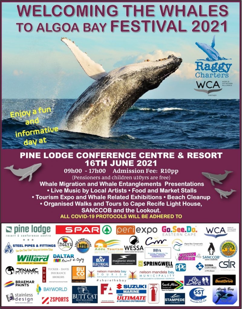 Welcoming the Whales to Algoa Bay Festival