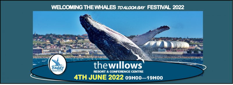 Welcoming the Whales to Algoa Bay Festival 2022 
