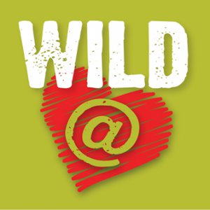 Wild at heart Absa Kirkwood Wildsfees