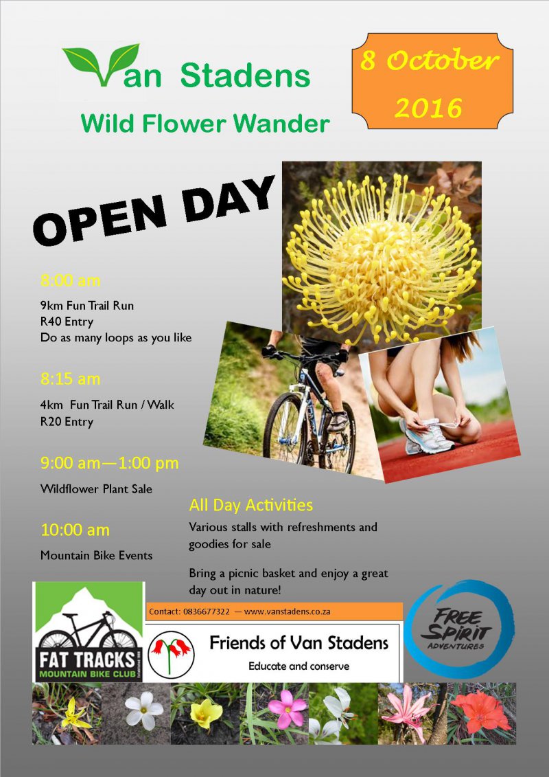 Wild Flower Wander