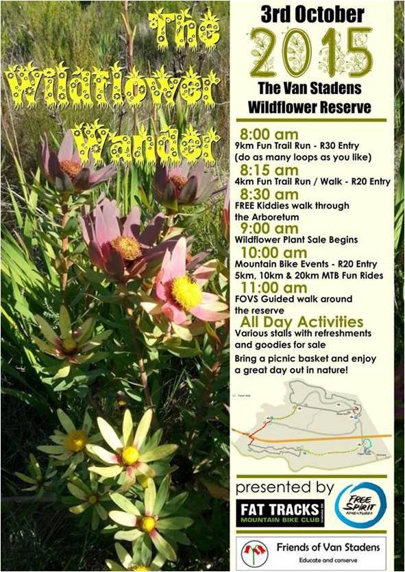 Wild Flower Wander