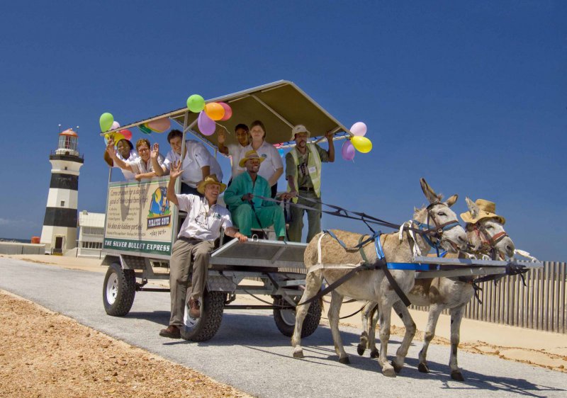 Zipline & Donkeycart Rides