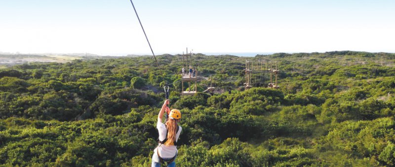 Zipline and High Ropes Experience