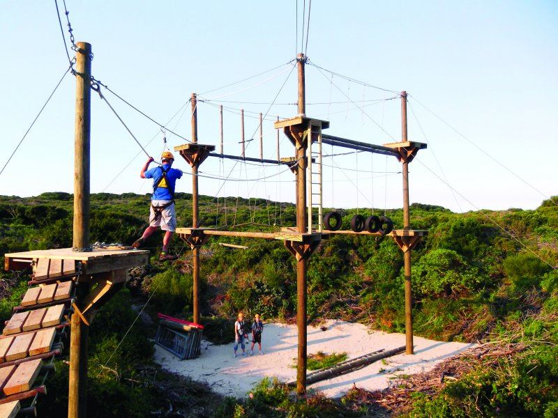 Zipline and High Ropes Experience-2